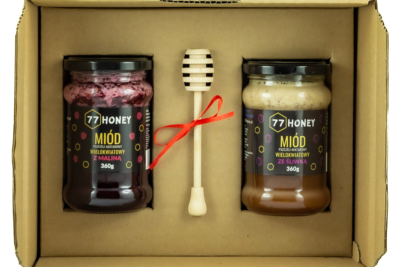 Eko zestaw 2x miód z owocami - Malina i Śliwka 360g